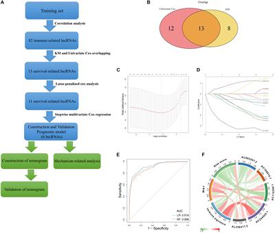 Identification of a Six-Immune-Related Long Non-coding RNA Signature for Predicting Survival and Immune Infiltrating Status in Breast Cancer